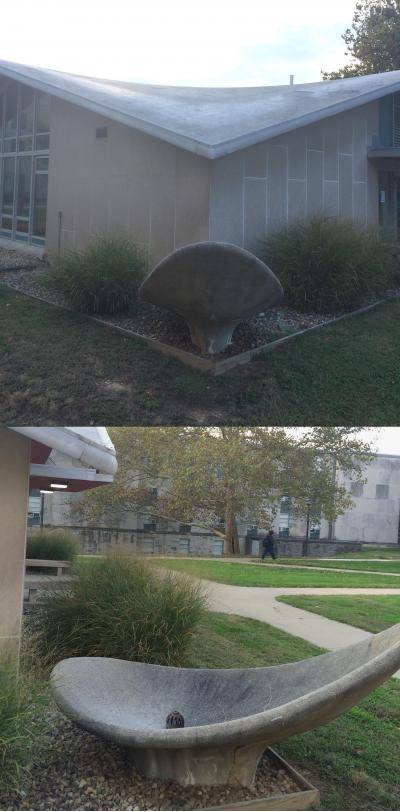 This building has no gutters. Instead it uses a curved roof and a bowl like structure to collect rain water.