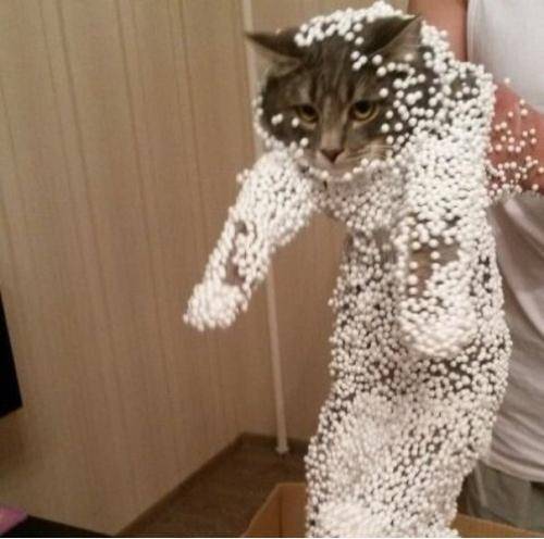 The box wasn’t empty