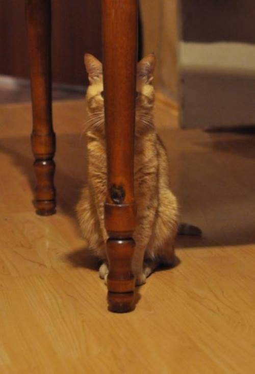 he's hiding from me because he did something wrong today