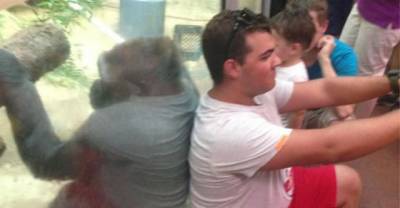 These Pictures Will Completely Deceive You..