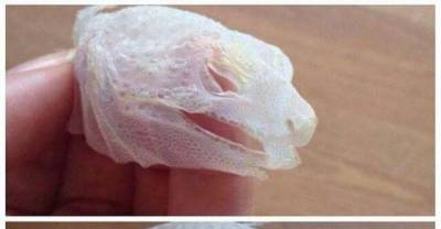 30 Amazing Pictures That Will Make You Do A Double Take..