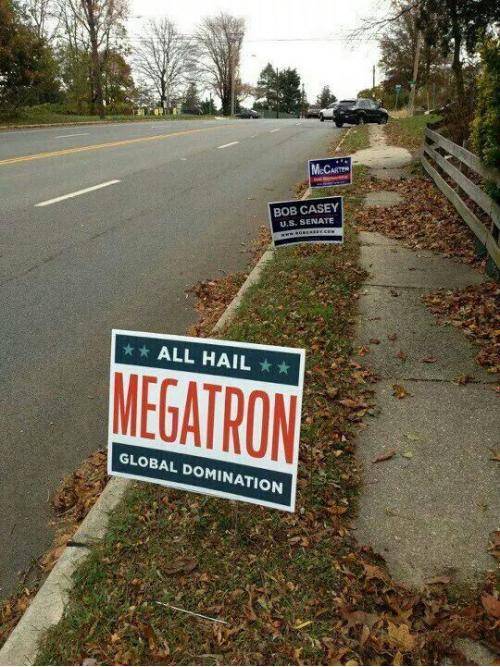 Every year I vote for him; every year I hope for him.