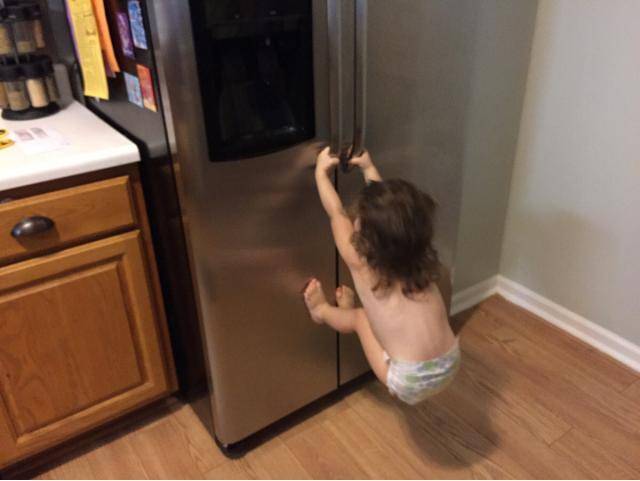Wife is out...so do I feed this thing or what?
