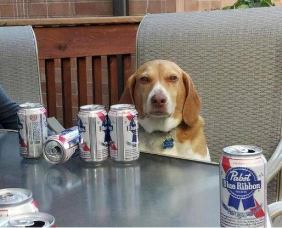 I'll tell you when I've had enough, Dan.