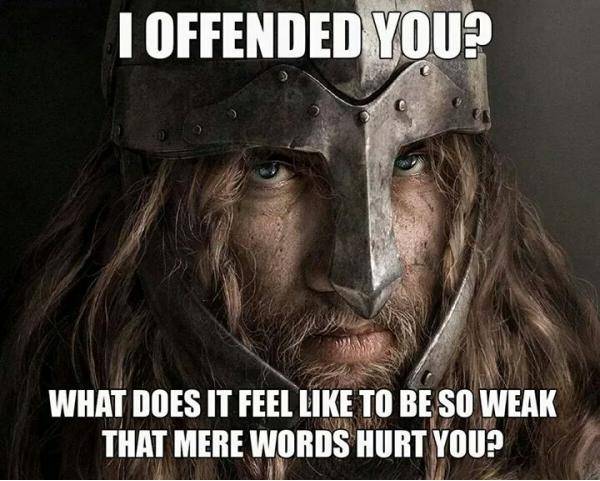 I find this offensive