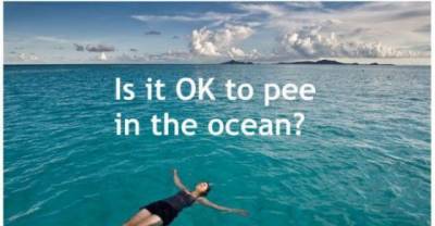 16 Awkward Science Questions & Their Answers