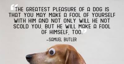 21 Quotes That Will Make You Want To Hug Your Pet