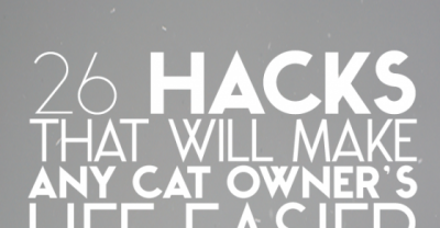 26 Hacks That Will Make Any Cat Owner&rsquo;s Life Easier