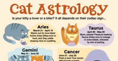 Cosmic Cats! What's Your Cat's Horoscope Sign?