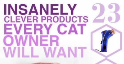 Insanely Clever Products Every Cat Owner Will Want