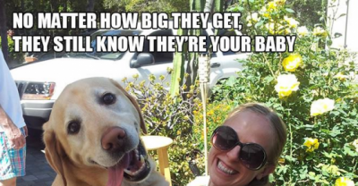 Hilarious Struggles Only Dog Owners Will Understand