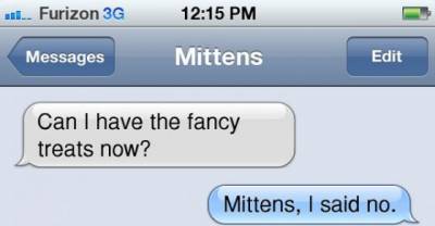 Be grateful your cat can't text