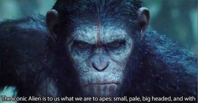 16 Insights About Life That May Change The Way You See The World