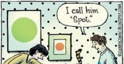 The Funny Side of Life With Cats