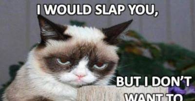 Cats & The Paw Slap of Doom