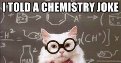 Best of Chemistry Cat