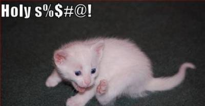 Unbearably Cute Jelly Bean Toes!