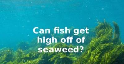 24 Most Stupid & Dumbest Questions Ever
