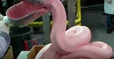 Disgusting Ingredients You're Eating Right Now
