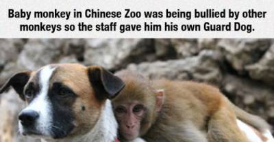 15 Things That Will Make Your Heart Smile