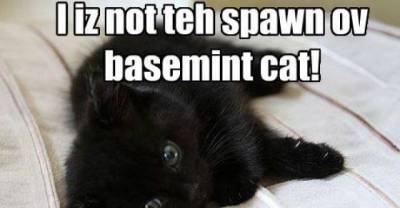 Basement Cat... evil minion or misunderstood house panther?