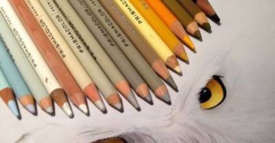 Realistic Animal Drawings With The Tools Used To Create Them