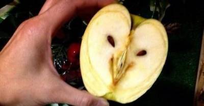 Funny Faces On Inanimate Objects - Part 2