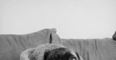 Faces Everyone Who Is Eternally Exhausted Will Recognize