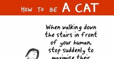 How to Be a Cat (An Illustrated Guide, Part 1)
