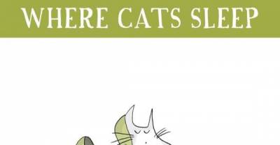 Cats like to sleep in the strangest of places.