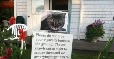 Hilarious Street Posters You Certainly Haven't Seen Around
