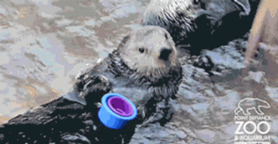 GIFs You Shouldn&rsquo;t Look At In Public If You Snort When You Laugh
