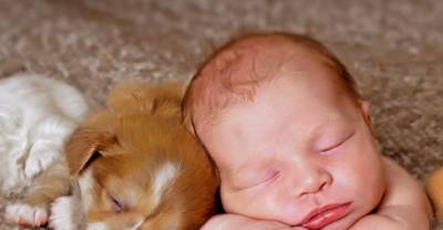 10 Reasons Why Puppies Are Like Babies