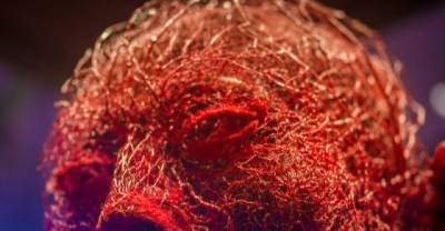 The Most Unique Facts About The Human Body That Will Leave You Awestruck.