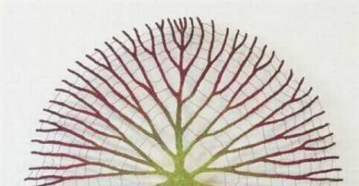 Feel Nature In Beautiful Embroidery