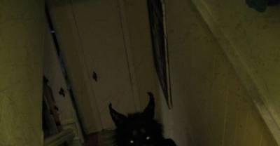 15 Of The Scariest Things That Can Happen When You're Home Alone