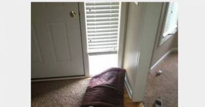 10 Kids Being The Worst Hide And Seekers In The History Of The World