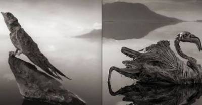 10 Strange Things You Didn't Know Were Happening Around The World