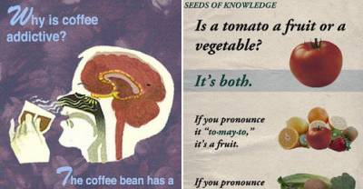 24 Science Facts Your Teacher Forgot To Tell You