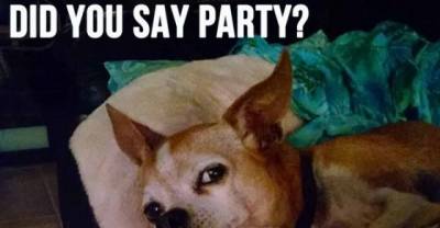 16 Struggles Of People Who Hate Doing Stuff
