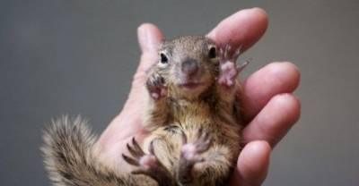 Pictures That Will Give You All The Feels (Part 2)