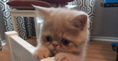 Pictures That Will Give You All The Feels (Part 1)