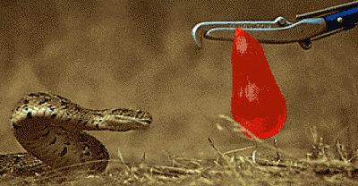 Bizarre Slow-Motion GIFs That Will Make You Lose Track Of Time