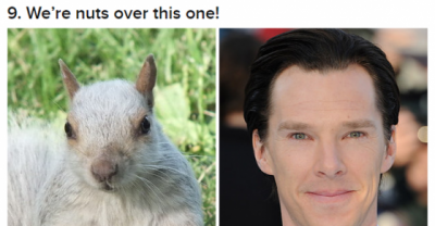 13 Animals That Resemble Benedict Cumberbatch