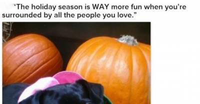 Adopted Pets Who Are Thankful For Their Forever Homes