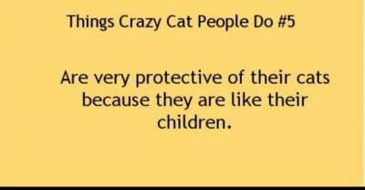 Things Crazy Cat People Do