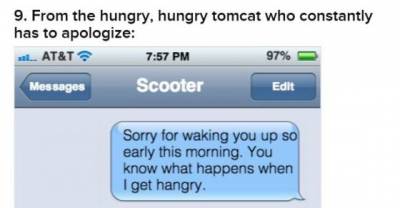 12 Messages We&rsquo;d Probably Get If Our Cats Could Text