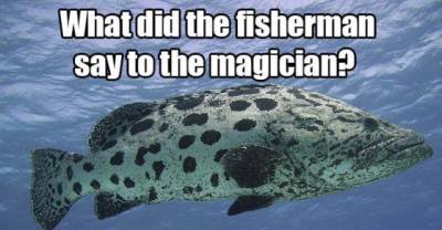 Jokes That Will Definitely Make You Groan