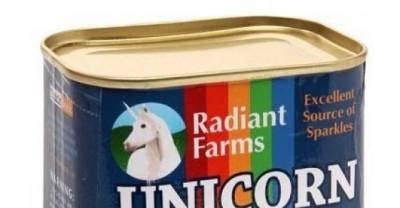 16 Incredibly Weird Things You Can Buy On Amazon For Under $15