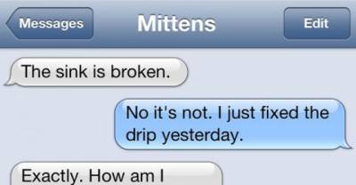 How annoying would it be if your cat could text you?